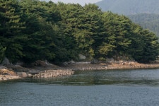 국가유산이미지 | 통영도선리백로와왜가리번식지_전경4 (촬영년도 : 2015년) 통영도선리백로와왜가리번식지_전경4 (촬영년도 : 2015년)