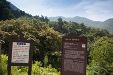 국가유산이미지 | 고창 문수사 단풍나무 숲_입구 안내판 (촬영년도 : 2015년) 고창 문수사 단풍나무 숲_입구 안내판 (촬영년도 : 2015년)