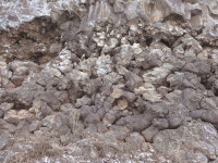 국가유산이미지 | 포천 아우라지 베개용암 포천 아우라지 베개용암