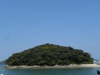 국가유산이미지 | 완도 주도 상록수림 원경(2016년) 완도 주도 상록수림 원경(2016년)