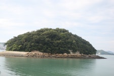 국가유산이미지 | 완도 주도 상록수림 원경(2021년) 완도 주도 상록수림 원경(2021년)