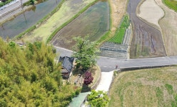 국가유산이미지 | 순천 평중리 이팝나무 드론사진(2023년) 순천 평중리 이팝나무 드론사진(2023년)