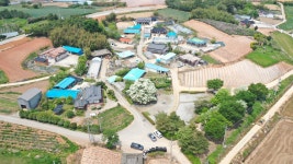 국가유산이미지 | 고창 중산리 이팝나무(2023년) 고창 중산리 이팝나무(2023년)