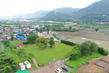 국가유산이미지 | 양산 신전리 이팝나무(2024년) 양산 신전리 이팝나무(2024년)