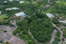 국가유산이미지 | 제주 안덕계곡 상록수림(2021년) 제주 안덕계곡 상록수림(2021년)
