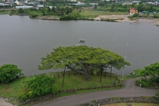 국가유산이미지 | 제주 수산리 곰솔(2021년) 제주 수산리 곰솔(2021년)