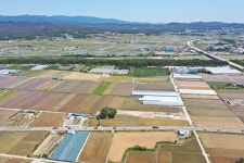 국가유산이미지 | 포항 북송리 북천수(2025년) 포항 북송리 북천수(2025년)