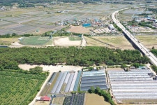 국가유산이미지 | 포항 북송리 북천수(2025년) 포항 북송리 북천수(2025년)