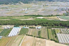 국가유산이미지 | 포항 북송리 북천수(2025년) 포항 북송리 북천수(2025년)