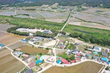 국가유산이미지 | 포항 북송리 북천수(2025년) 포항 북송리 북천수(2025년)
