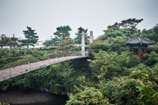 국가유산이미지 | 용연·용두암 용연·용두암