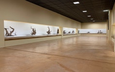 국가유산이미지 | 돌문화공원 내 조록나무뿌리형상물 돌문화공원 내 조록나무뿌리형상물