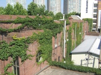 국가유산이미지 | 구 용산철도병원 본관/문화재청 구 용산철도병원 본관/문화재청