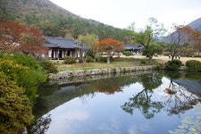 국가유산이미지 | 진도 운림산방 가을전경 진도 운림산방 가을전경