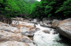 명승 지리산 한신계곡 일원 (智異山 韓信溪谷 一圓) | 국가유산포털 | 우리지역 국가유산 명승 지리산 한신계곡 일원 (智異山 韓信溪谷 一圓)... 