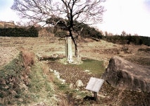 국가유산이미지 | 법수사지당간지주(동절기) 법수사지당간지주(동절기)