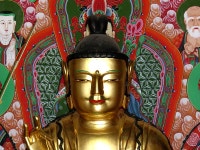 국가유산이미지 | 의령백련암목조보살좌상 의령백련암목조보살좌상