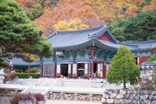 국가유산이미지 | 포항보경사대웅전_원경 (촬영년도 : 2015년) 포항보경사대웅전_원경 (촬영년도 : 2015년)
