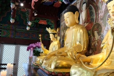 국가유산이미지 | 고산사목조석가모니불좌상(측면) 고산사목조석가모니불좌상(측면)