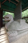국가유산이미지 | 강진 월남사지 진각국사비_귀부 (촬영년도 : 2015년) 강진 월남사지 진각국사비_귀부 (촬영년도 : 2015년)
