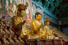 국가유산이미지 | 서천 봉서사 목조아미타여래삼존좌상(사진)_측면 (촬영년도_2024년) 서천 봉서사 목조아미타여래삼존좌상(사진)_측면... 