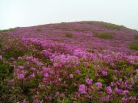 광주-전남 70 페이지 | HIFICLUB - High-end Audio Magazine