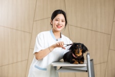 갤러리 | HIT 대전보건대학교-펫토탈케어과 반려동물 미용 – 갤러리 – HIT 대전보건대학교