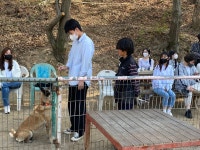 갤러리 | HIT 대전보건대학교-반려동물과 펫토탈케어과 4월 12일 대전애견스쿨 현장견학 수업 2 – 갤러리 – HIT 대전보건대학교