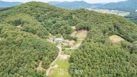 전체기사 - 충청남도