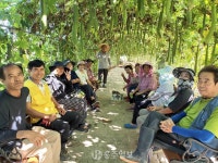 지역신문뉴스 - 금마면 구암마을, 수세미&조롱박 축제 개최 - 충청남도 금마면 구암마을, 수세미&조롱박 축제 개최