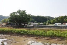 카드뉴스 - 충청남도 누리집(홈페이지) 충청남도 누리집(홈페이지)