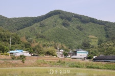 지역신문뉴스 - 충청남도 누리집(홈페이지) 충청남도 누리집(홈페이지)