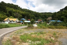 카드뉴스 - 충청남도 누리집(홈페이지) 충청남도 누리집(홈페이지)