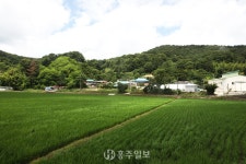 카드뉴스 - 충청남도 누리집(홈페이지) 충청남도 누리집(홈페이지)