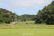 지역신문뉴스 - 충청남도 누리집(홈페이지) 충청남도 누리집(홈페이지)