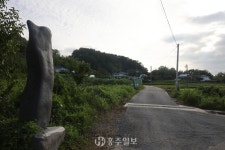 지역신문뉴스 - 충청남도 누리집(홈페이지) 충청남도 누리집(홈페이지)