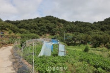 지역신문뉴스 - 충청남도 누리집(홈페이지) 충청남도 누리집(홈페이지)