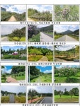 산림청, 제8회 나라꽃 무궁화 명소 5곳 선정