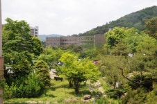 호남대학교 커뮤니티 홍보관 캠퍼스전경 호남대학교 나무전경