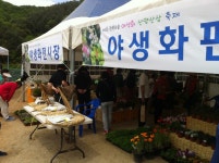 마을사진 상세 - 뉴스/보도 - 소식·알림 - 홍천군청