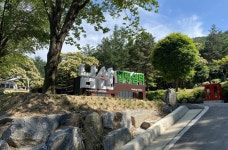 홍천핫이슈 상세 - 뉴스/보도 - 소식·알림 - 홍천군청