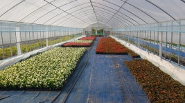 자유게시판 상세 - 참여·소통 - 홍천군청