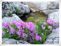 마을사진 상세 - 뉴스/보도 - 소식·알림 - 홍천군청