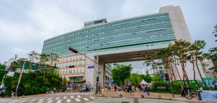 홍익대학교