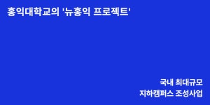 홍익대학교 | 홍익대학교의 ‘뉴홍익 프로젝트’