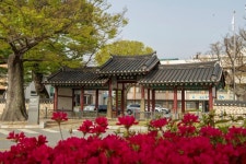 보도자료 > 군정소식 > 군정소식 > 홍성군청  보도자료 > 군정소식 > 군정소식 >