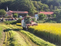 보도자료 > 군정소식 > 군정소식 > 홍성군청  보도자료 > 군정소식 > 군정소식 >