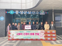 보도자료 > 군정소식 > 군정소식 > 홍성군청  보도자료 > 군정소식 > 군정소식 >
