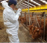 보도자료 > 군정소식 > 군정소식 > 홍성군청  보도자료 > 군정소식 > 군정소식 >