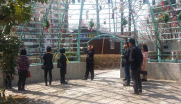 보도자료 > 군정소식 > 군정소식 > 홍성군청  보도자료 > 군정소식 > 군정소식 >